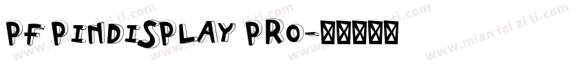 PF PINDISPLAY PRO字体转换